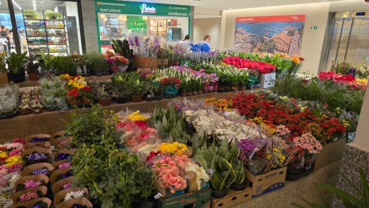Loja em Salvador antecipa clima de Primavera com tradicional Feira de Flores de Holambra