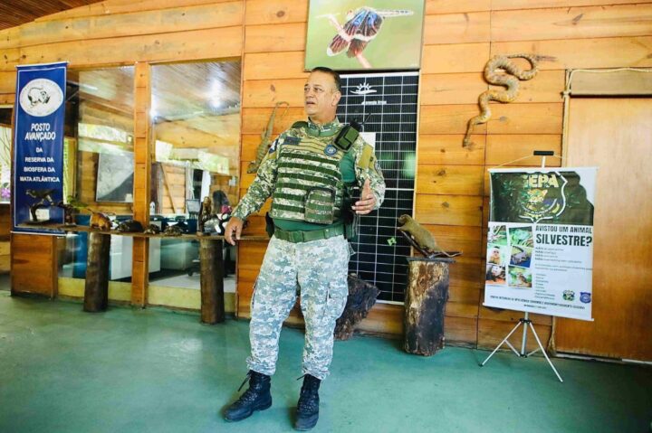 Salvador contabiliza cerca de 5 mil resgates de animais silvestres em 2025