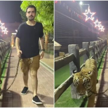 João Silva, filho de Faustão, viraliza ao passear com tigre na coleira em Dubai