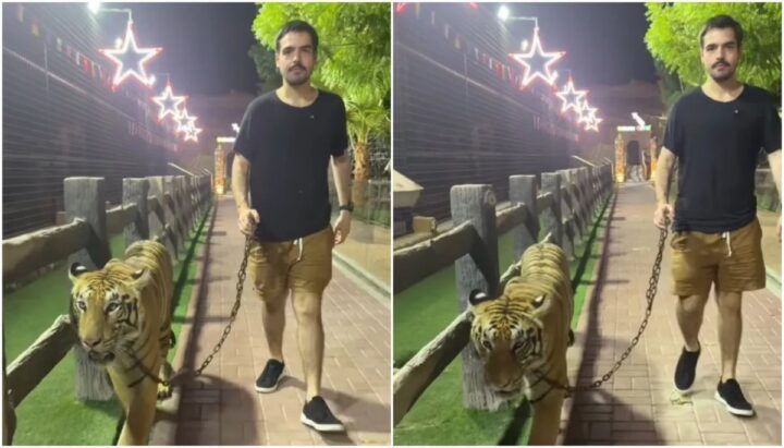 João Silva, filho de Faustão, viraliza ao passear com tigre na coleira em Dubai