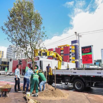 Secis amplia arborização urbana com plantio de novas árvores na Pituba