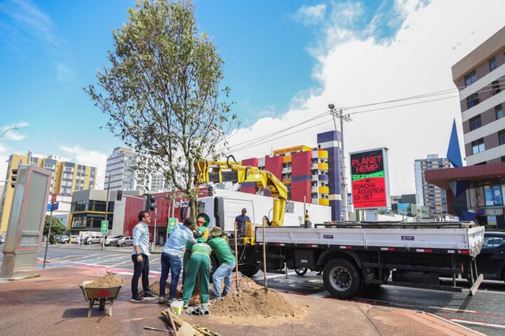 Secis amplia arborização urbana com plantio de novas árvores na Pituba