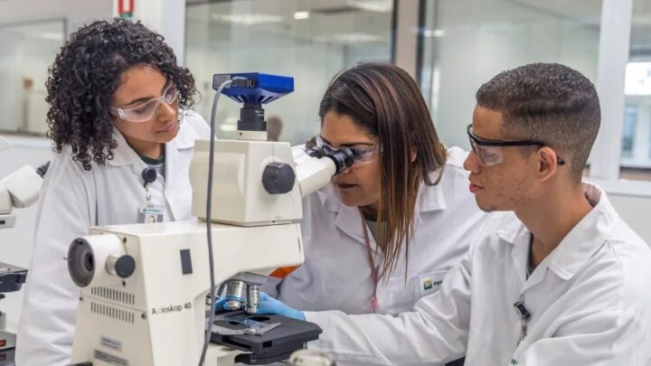 Petrobras abre 42 vagas para Jovem Aprendiz em Salvador; veja como se inscrever