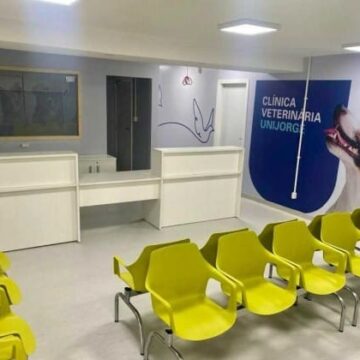 Faculdade promove ação para prevenir câncer de mama em cadelas e gatas