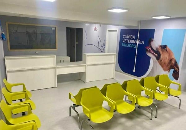 Faculdade promove ação para prevenir câncer de mama em cadelas e gatas