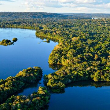 The Economist elogia ações do Brasil para preservar as florestas