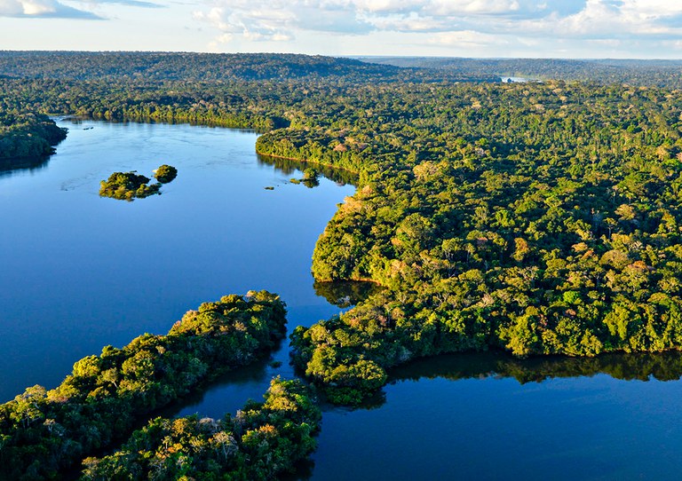 The Economist elogia ações do Brasil para preservar as florestas