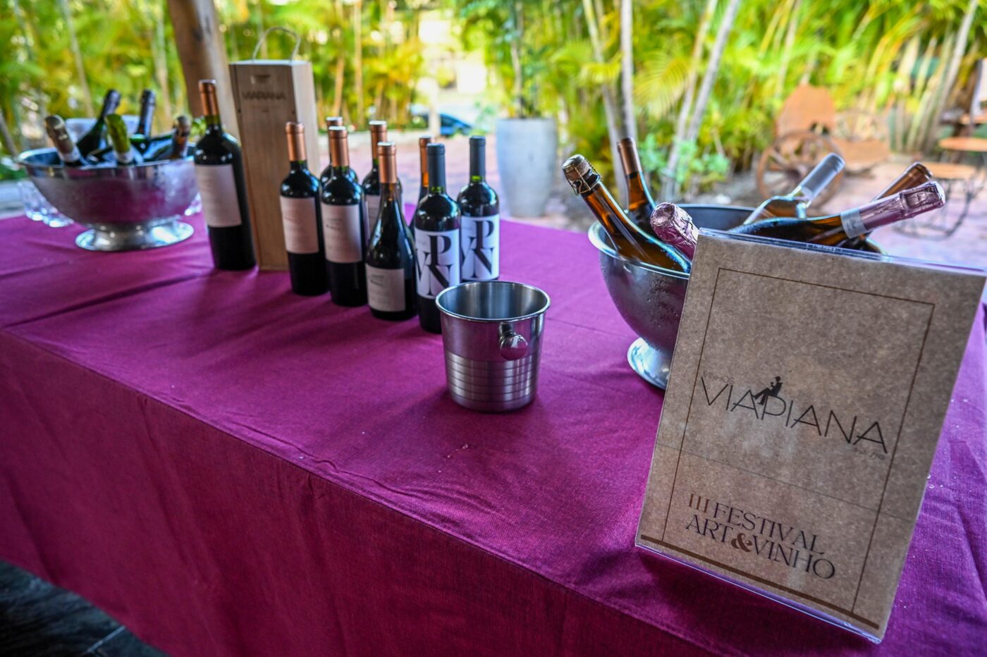 Festival Art & Vinho 2025 - Polomar
