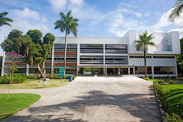 Estudar Medicina sem pagar nada? Programa de faculdade baiana oferece bolsas integrais; saiba mais