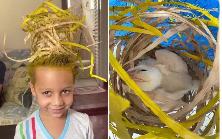 Dia do cabelo maluco: criança ganha prêmio na escola após penteado com pintinho dentro de ninho