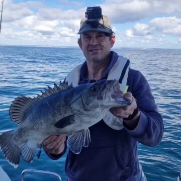 Peixe pré-histórico que devora tubarões é capturado no Reino Unido