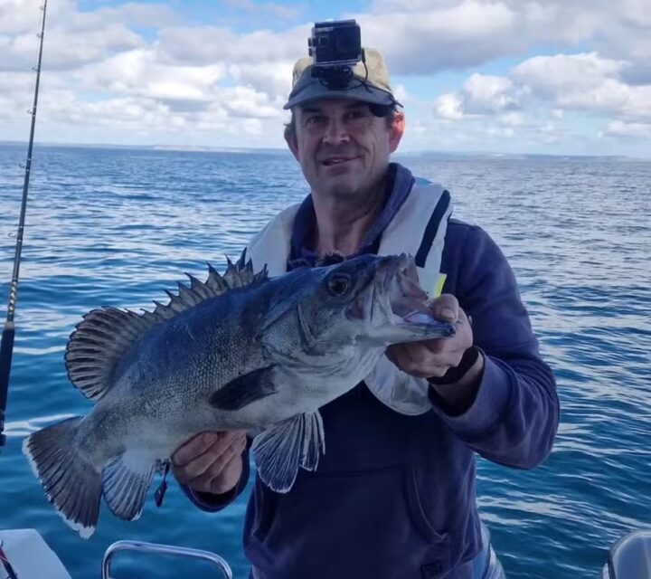 Peixe pré-histórico que devora tubarões é capturado no Reino Unido