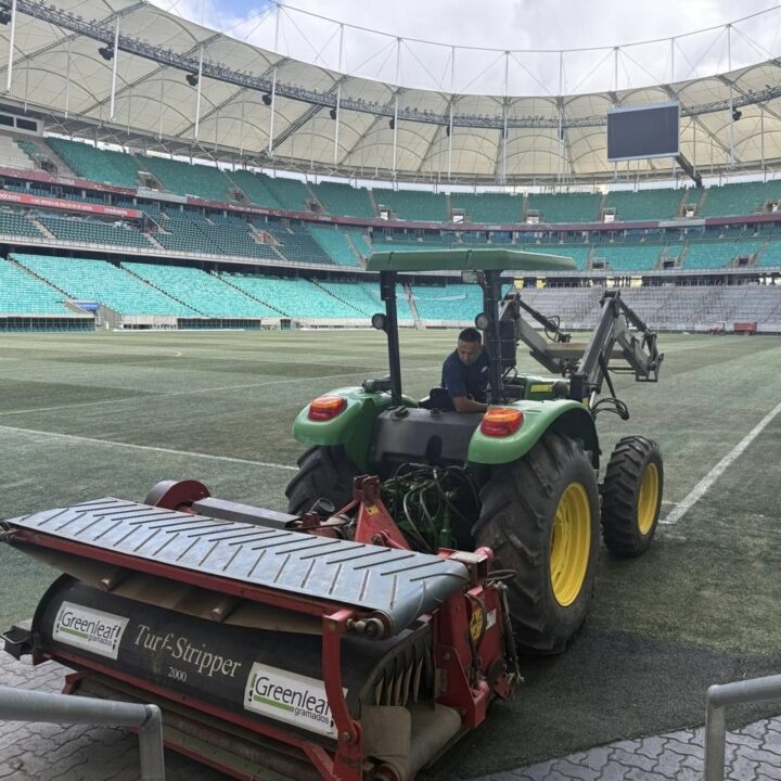 Após críticas, Arena Fonte Nova inicia troca completa do gramado