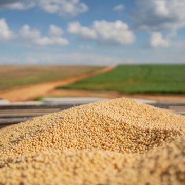 Exportação de soja do Brasil bate recorde com forte demanda da China
