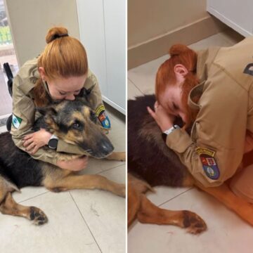 PM emociona ao dar adeus a cão policial submetido à eutanásia; assista