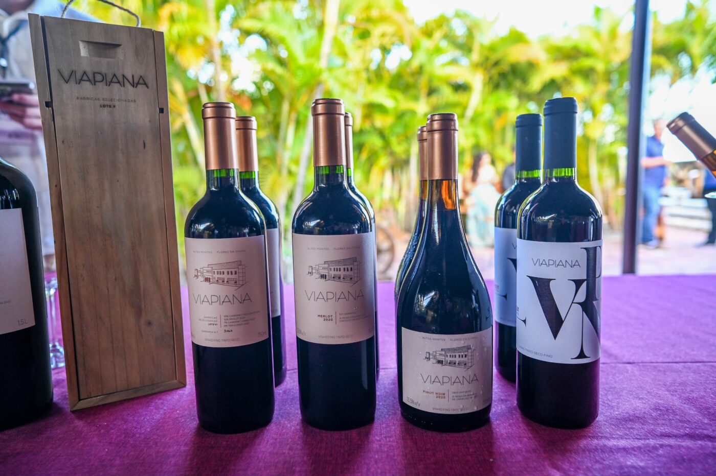 Festival Art & Vinho 2025 - Polomar
