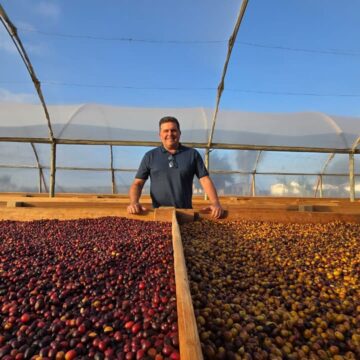 Bahia desponta como referência nacional em produção de café especial