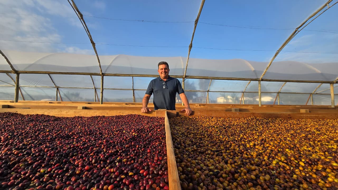 Bahia desponta como referência nacional em produção de café especial Bahia desponta como referência nacional em produção de café especial