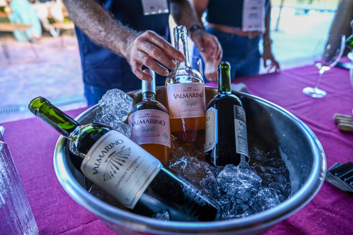 Festival Art & Vinho 2025 - Polomar