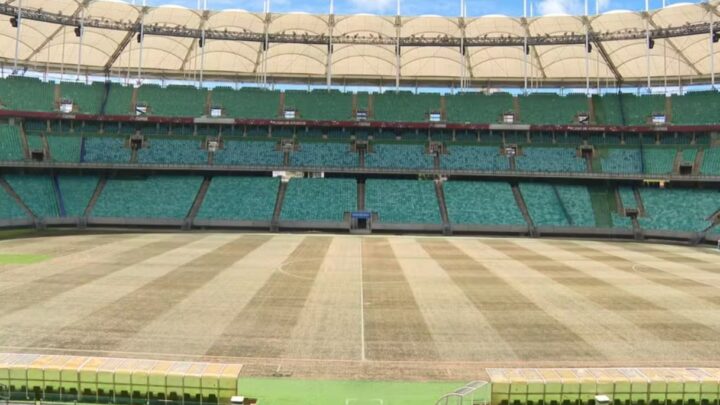 Bahia x Flamengo: Arena Fonte Nova assegura condições do campo após críticas