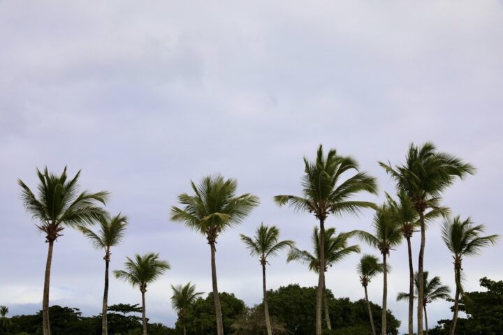 Após semana de chuvas intensas, tempo volta a ficar firme na Bahia Após semana de chuvas intensas, tempo volta a ficar firme na Bahia