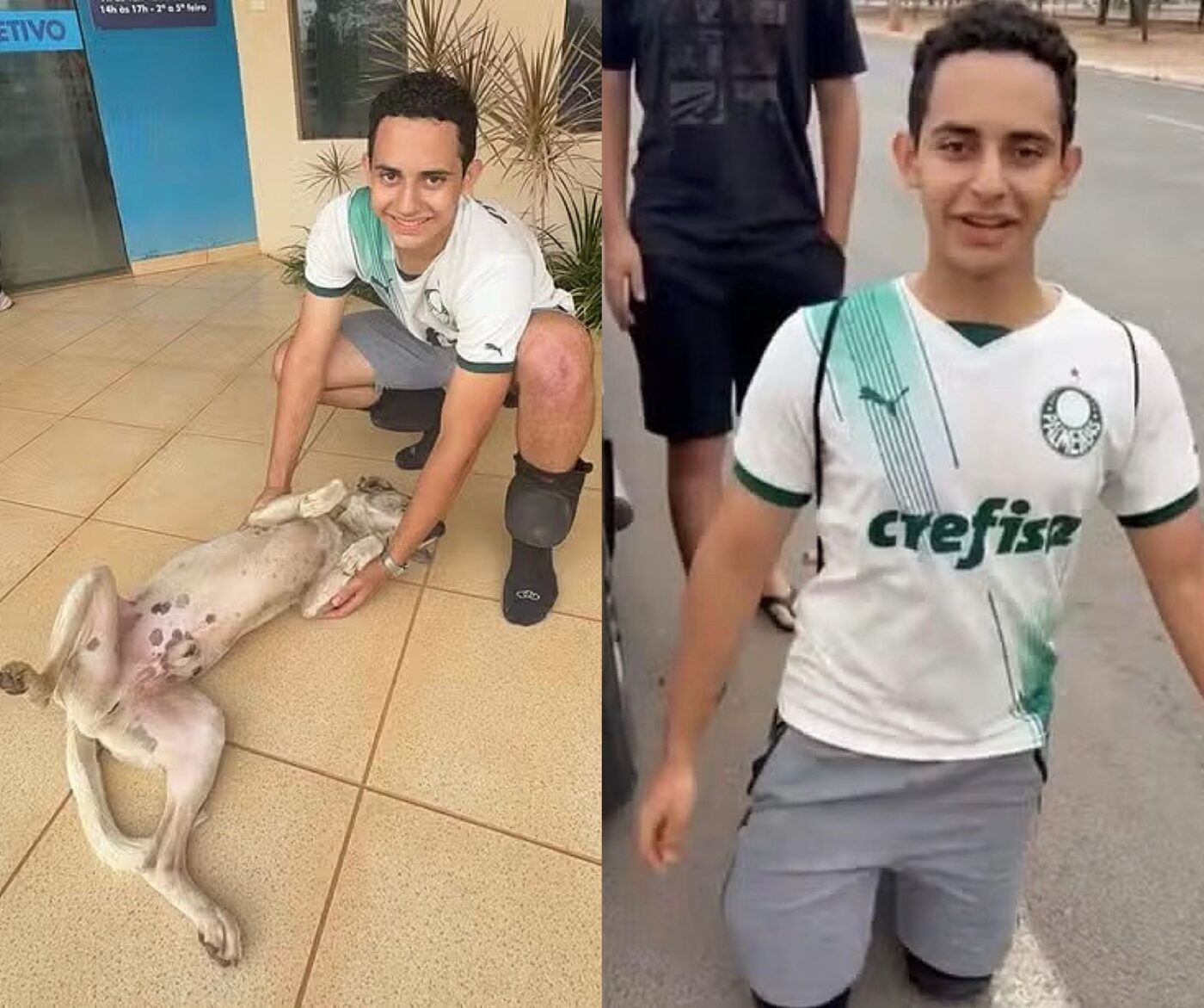 Estudante cumpre promessa e percorre 4 km ajoelhado até a escola após classificação do Palmeiras na Libertadores Estudante cumpre promessa e percorre 4 km ajoelhado até a escola após classificação do Palmeiras na Libertadores