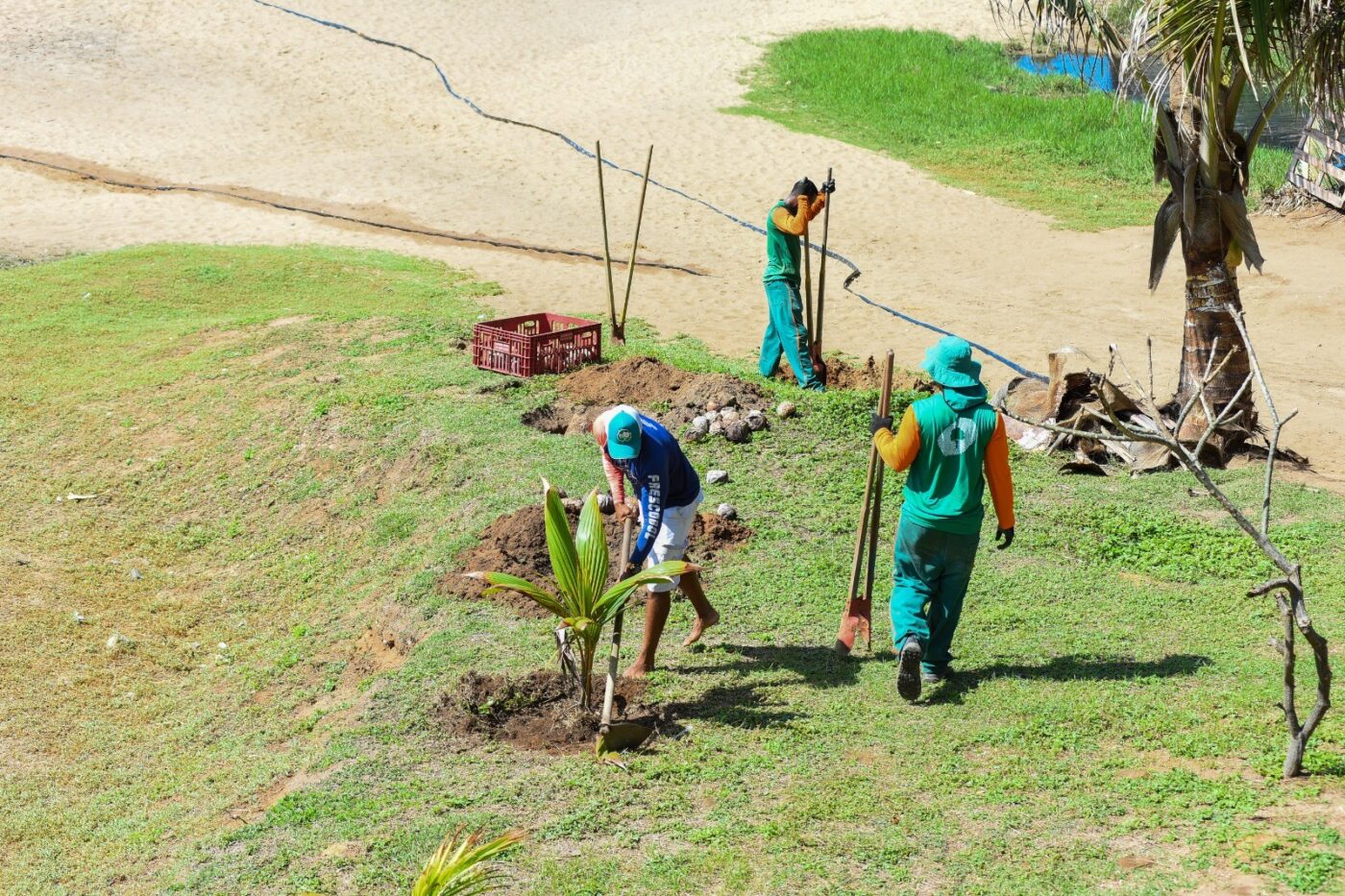 Praia Verde no Rio Vermelho recebe nova ação ambiental da Prefeitura de Salvador Praia Verde no Rio Vermelho recebe nova ação ambiental da Prefeitura de Salvador