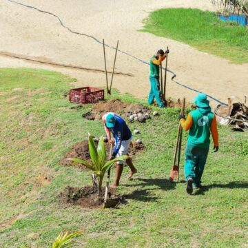 Praia Verde no Rio Vermelho recebe nova ação ambiental da Prefeitura de Salvador Praia Verde no Rio Vermelho recebe nova ação ambiental da Prefeitura de Salvador