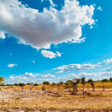 Cinco municípios da Bahia estão em zona de desertificação, aponta pesquisa do Inpe Cinco municípios da Bahia estão em zona de desertificação, aponta pesquisa do Inpe