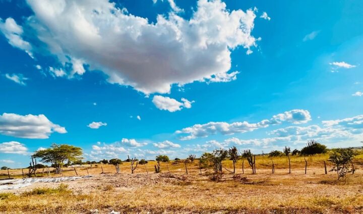 Cinco municípios da Bahia estão em zona de desertificação, aponta pesquisa do Inpe Cinco municípios da Bahia estão em zona de desertificação, aponta pesquisa do Inpe