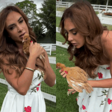 Nicole Bahls revela qual animal em sua fazenda ganhou o seu nome: ‘A gente combina até na cor do cabelo’