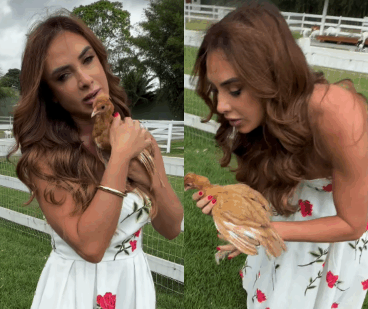 Nicole Bahls revela qual animal em sua fazenda ganhou o seu nome: ‘A gente combina até na cor do cabelo’
