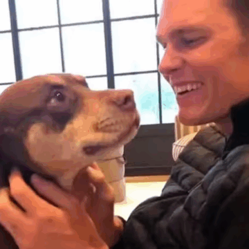 Ex de Gisele Bundchen, Tom Brady revela que novo cachorro da família é clone do antigo pet