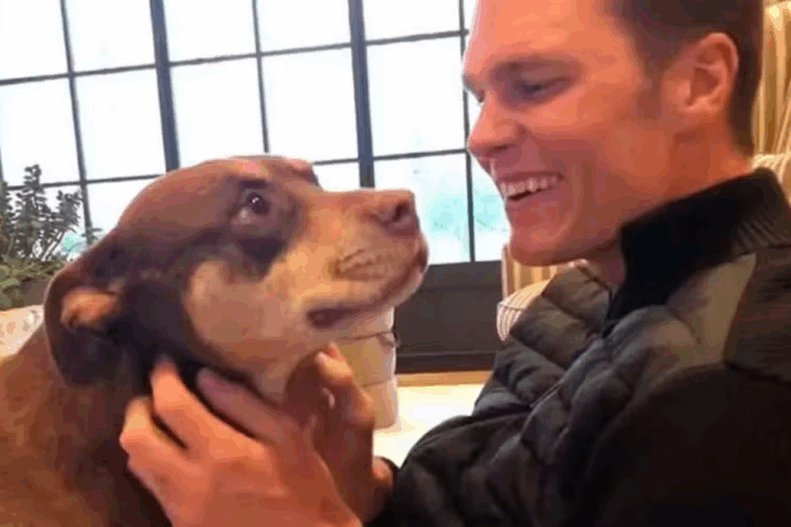 Ex de Gisele Bundchen, Tom Brady revela que novo cachorro da família é clone do antigo pet