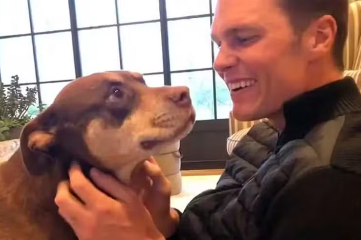Ex de Gisele Bundchen, Tom Brady revela que novo cachorro da família é clone do antigo pet