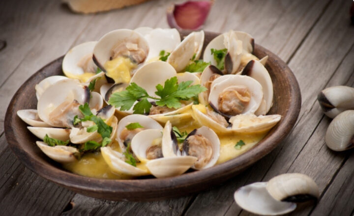 Bairro histórico de Salvador, Mouraria recebe primeira edição do Festival da Lambreta; vem saber