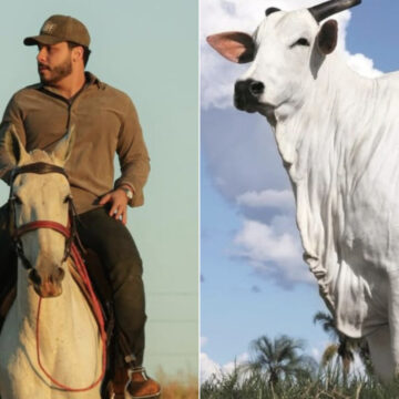 Murillo Huff se torna um dos donos da vaca mais cara do mundo