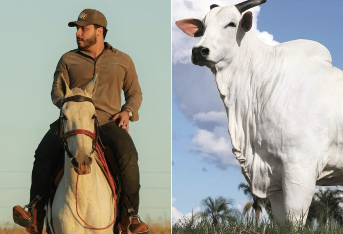 Murillo Huff se torna um dos donos da vaca mais cara do mundo