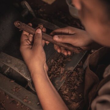 Recôncavo Baiano ganha Denominação de Origem para tabaco e charutos e reforça identidade produtiva