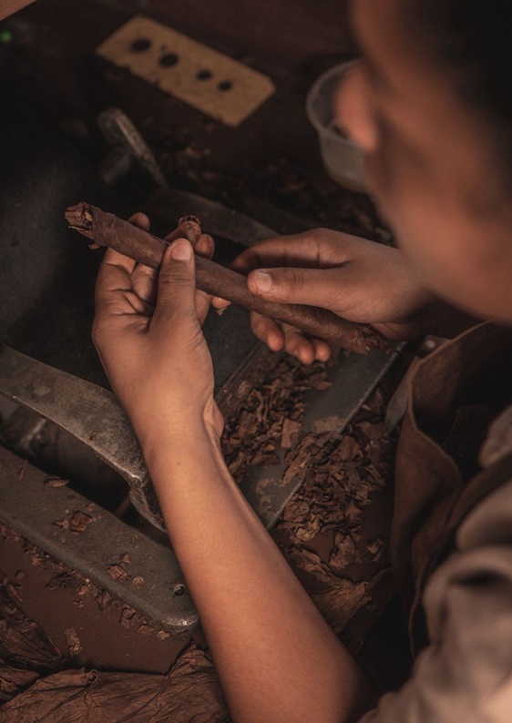 Recôncavo Baiano ganha Denominação de Origem para tabaco e charutos e reforça identidade produtiva