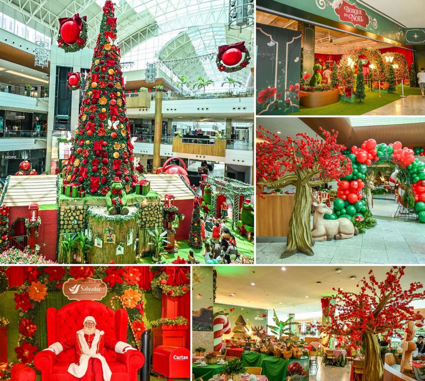 Salvador Shopping apresenta Natal 2025 com café da manhã exclusivo; veja fotos