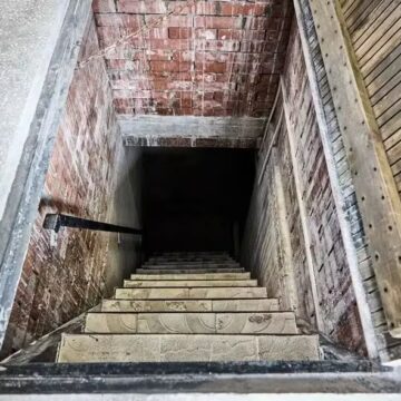 Gatos somem e são encontrados em cômodo secreto que dona não sabia que existia