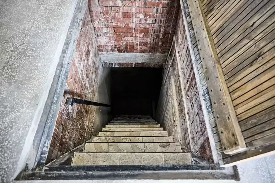 Gatos somem e são encontrados em cômodo secreto que dona não sabia que existia