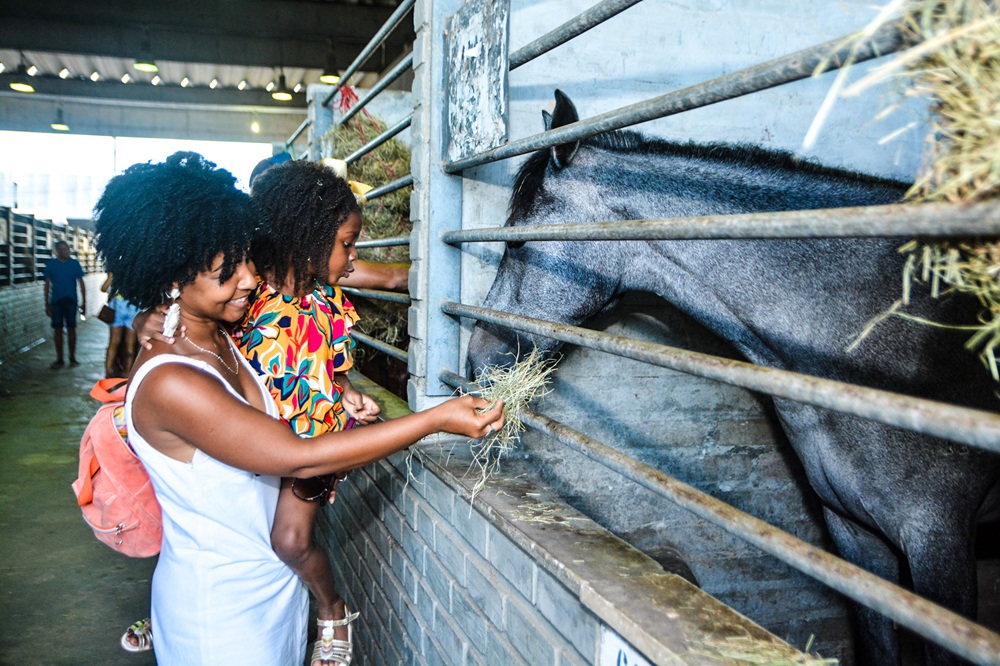 Com 600 expositores, Fenagro 2025 deve movimentar R$ 120 milhões em negócios