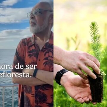 COP30: Gilberto Gil convoca brasileiros para reflorestamento pelas redes sociais