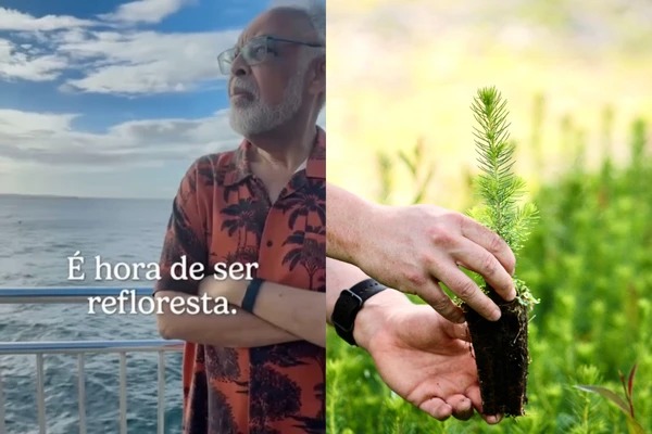 COP30: Gilberto Gil convoca brasileiros para reflorestamento pelas redes sociais