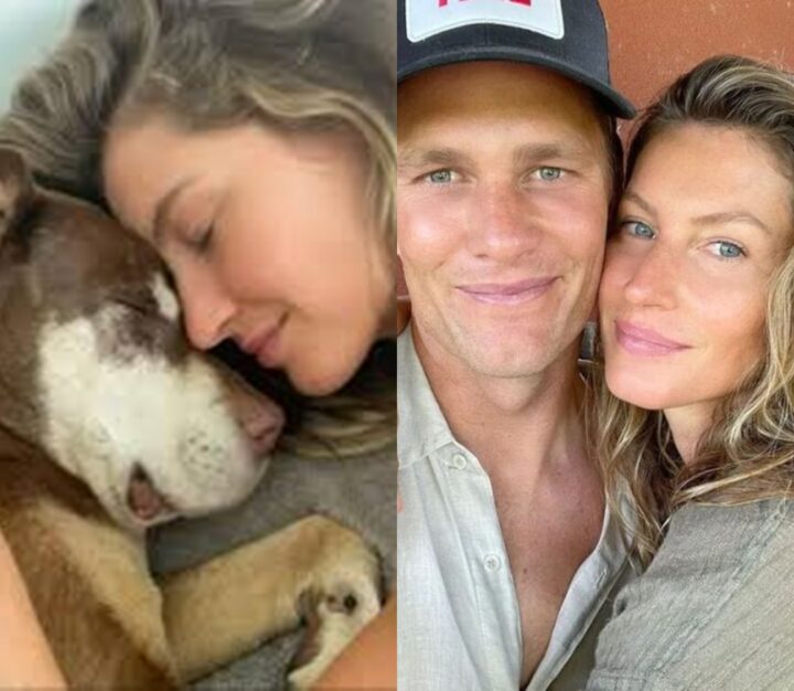 Ex-marido de Gisele Bündchen revela que clonou cachorrinha que morreu há dois anos