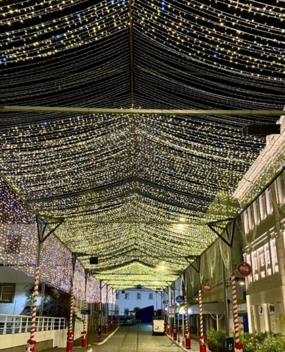 Show gratuito, cortejo, vilas temáticas e árvore de 18 metros: Salvador divulga programação do Natal 2025