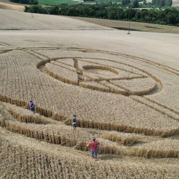 Figura misteriosa reaparece em plantação de trigo em Santa Catarina e intriga moradores