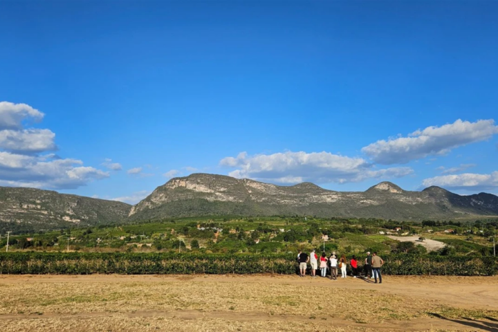 Bahia pode ganhar ‘Estrada das Vinícolas’; conheça
